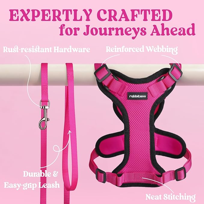 rabbitgoo Cat Harness and Leash for Walking, Escape Proof Soft Adjustable Vest Harnesses for Cats, Easy Control Breathable Reflective Strips Jacket, Rose Red, XXS
