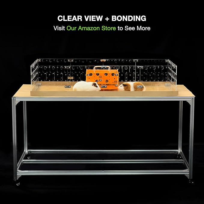 GuineaLoft™ Acrylic Cage (Model-A) - Large 4x2ft Expandable C&C Cage for Guinea Pigs, Rabbits, Button Quails, Hedgehogs, Small Animals that Need Roaming Space - Visit Our Store to See More