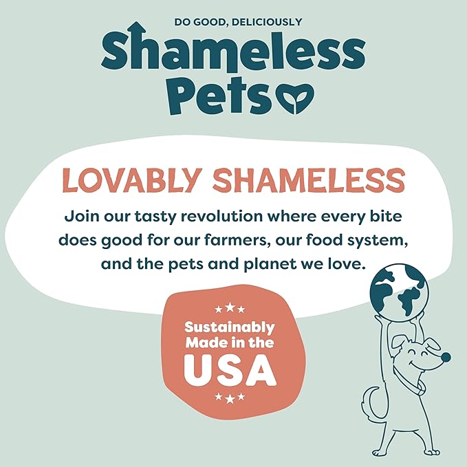 Shameless Pets Jerky Bites Treats, Salmon Loves Butternut- Healthy Dog Chews for Skin & Coat Support with Omega 3 and 6- Dog Treats with Real Wild-Caught Salmon- Free from Grain, Corn & Soy - 14 oz