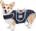 Dog Back Brace for IVDD, Soft Breathable Pet Back Support for Shih Tzu & Dachshund, Surgical Recovery & Pain Relief Harness (Small)