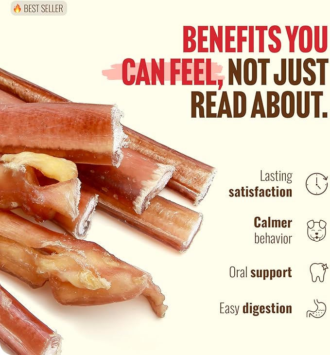Natural Farm Odor-Free Thin Bully Sticks (6”, 25-Pack) All-Natural Long-Lasting Dog Chews, 100% Beef Pizzle, Grass-Fed, Grain-Free, Protein for Muscle Development & Energy, Perfect for Medium Chewers