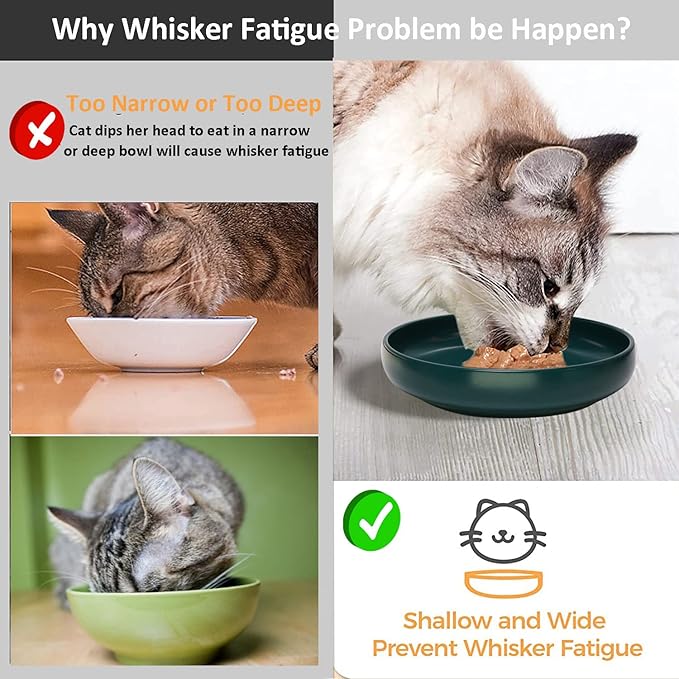 Ceramic Cat Bowls,Shallow Cat Dishes for Food and Water, 6 inch Matte Finish Wide Cat Food Bowl,Whisker Fatigue Free Pet Puppy Kitten Bowl Set of 3,Dishwasher Safe