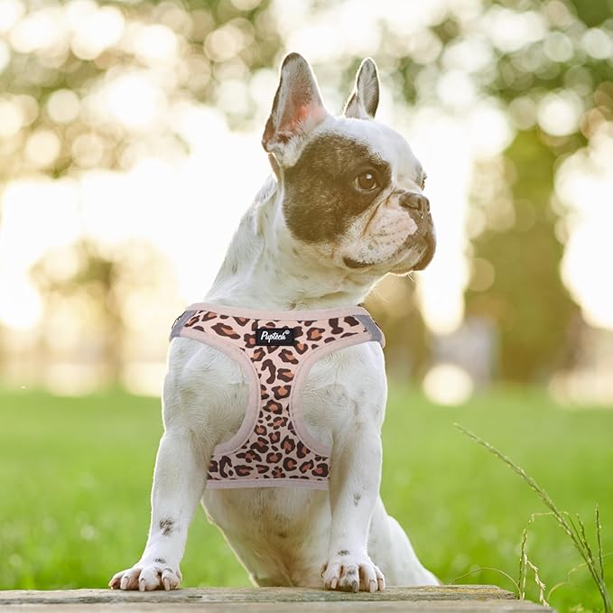 PUPTECK Dog Harness and Leash Set for Small Medium Dogs No Pull Step-in Soft Mesh Puppy Cat Vest Harnesses Reflective at Night, Brown Leopard Print, XS