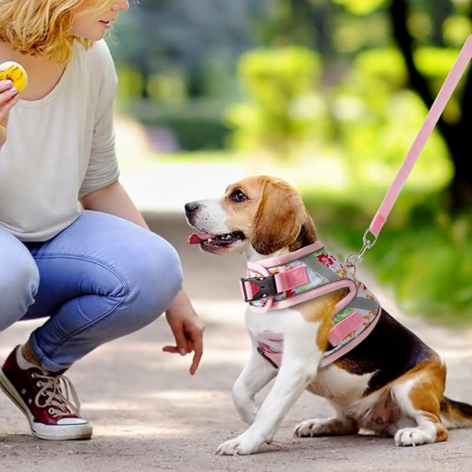 Floral cat Leash and Harness Set. The cat Harness Escape Proof Feature Allows You to Walk You cat, Small Dog or Rabbit Without Worries. This Kitten Harness and Leash is Cute and Trendy