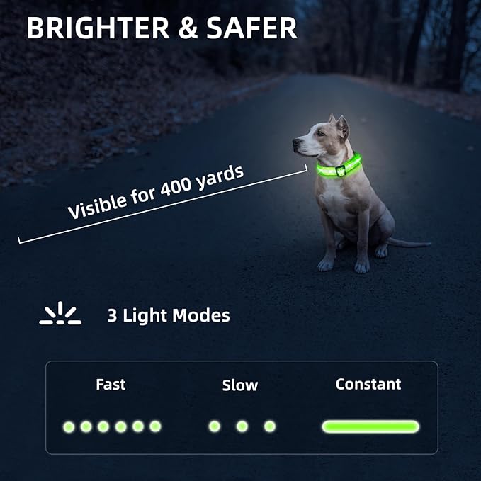 PetIsay Light Up Dog Collar - High Visibility & Durable Nylon Material - USB C Rechargeable & Waterproof LED Collar for Night Walking, Glow in The Dark Flashing (Green, Small)