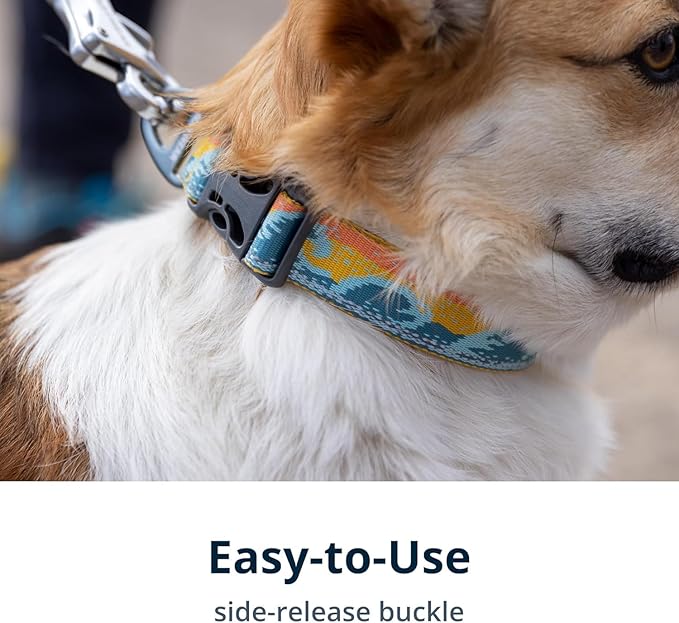Ruffwear, Crag Dog Collar, Stylish Adventure Collar with Premium Reflective Design, Quick Release Buckle, Lightweight All-Day Comfort, Rising Wave, 14"-20"