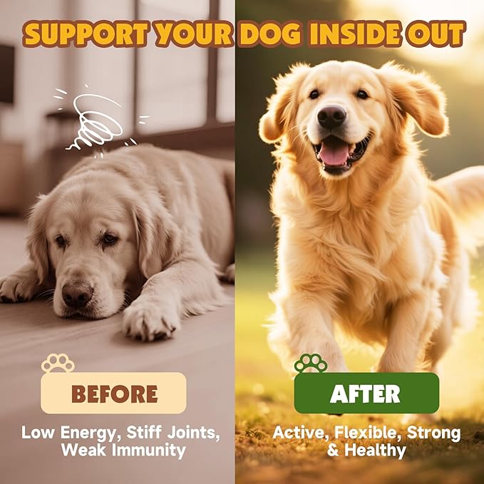 Mushroom Chews for Dogs, Turkey Tail Mushroom for Dogs, Immune Health, Digestive, Skin, Energy, Joint Support, 13 Organic Mushroom Complex with Shiitake, Maitake, Reishi, Lion's Mane, 140 Chews