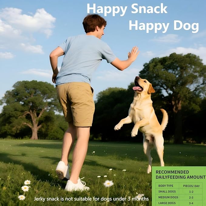 Duck Breast Strips Dog Treats - Chewy Jerky Made with Real Duck - Novel Protein, Limited Ingredient Snack for All Breeds, Healthy Training Rewards for Sensitive Dogs