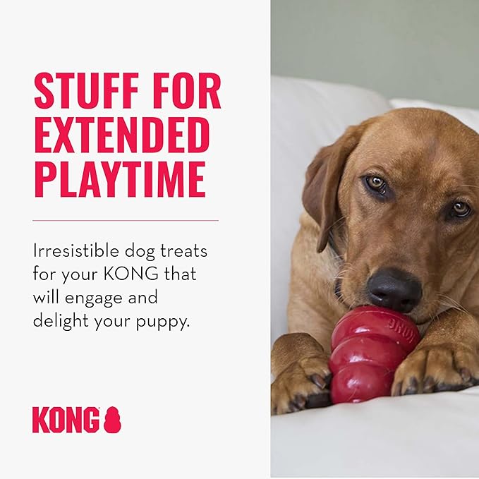 KONG - Treats Combo Pack - Easy Treat Paste and Dog Snacks - Liver Flavor for Large Dogs