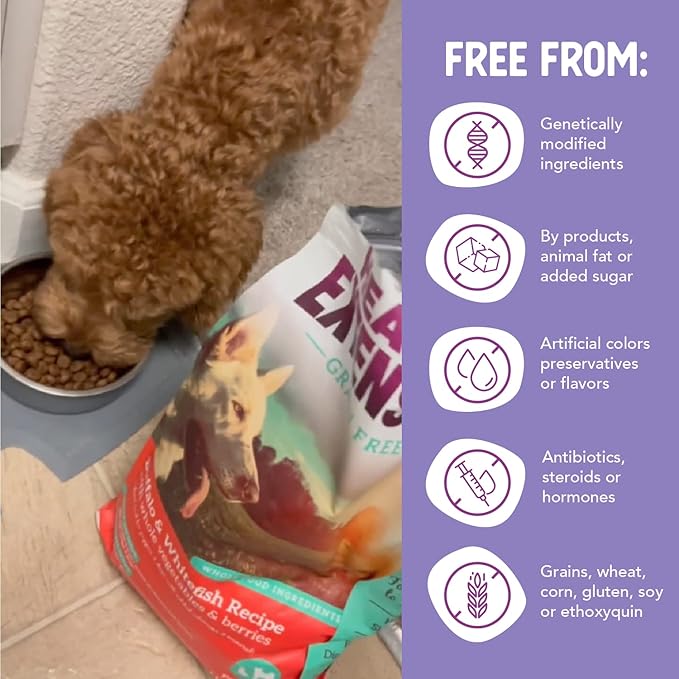 Health Extension Grain Free Buffalo & Whitefish Dry Dog Food - 30+ Superfoods and Probiotics for All Life Stages (23.5 lb)