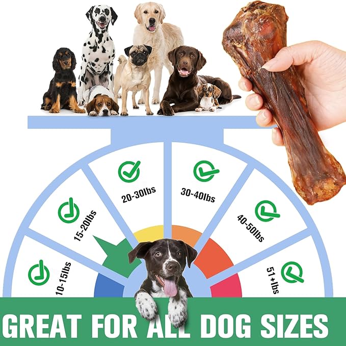 Real Beef Bones for Dogs with Meat - 8'' Big Dog Bones Beef Shank Bone, Rawhide-Free Long-Lasting Natural Single-Ingredient Dog Treats for Small, Medium & Large Dogs (1 Count)