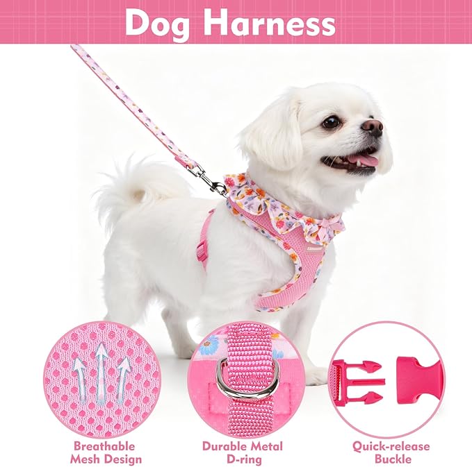 EXPAWLORER Cute Dog Harness Collar Leash Set - Pink Girl Dog Harness Checkered Step-in Design, Adjustable No-Choke Lightweight Mesh Vest for Cats Puppy Small Dogs, Flower XS