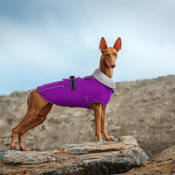 Lelepet Warm Dog Winter Coats for Small Dogs Waterproof Dog Jacket Reflective Pet Fleece Vest Windproof Cold Weather Coats with Adjustable Buckle & Leash Hole, Purple, S