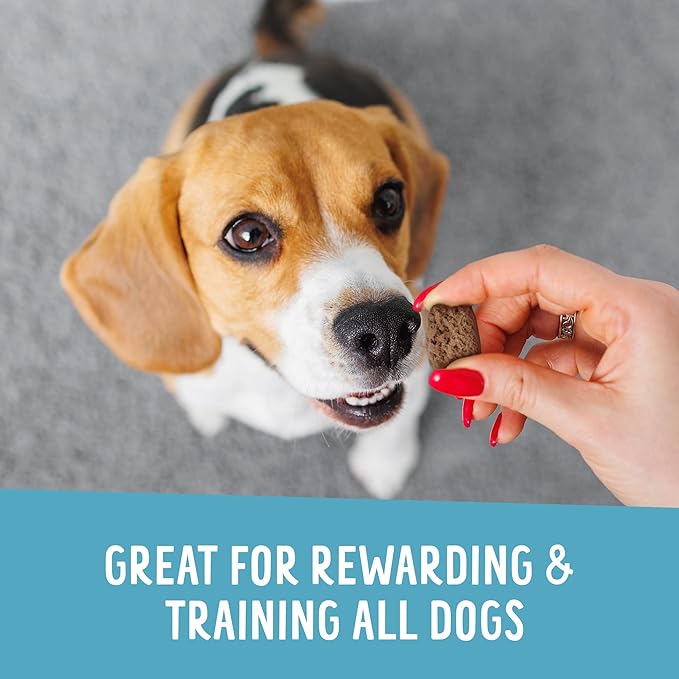 Health Extension Crunchy Munchies Granola Bites Peanutty Squares Flavor, Natural Limited Ingredient Dog Treats with Rolled Oats & Coconut Oil, Made in The USA (5oz Bag)