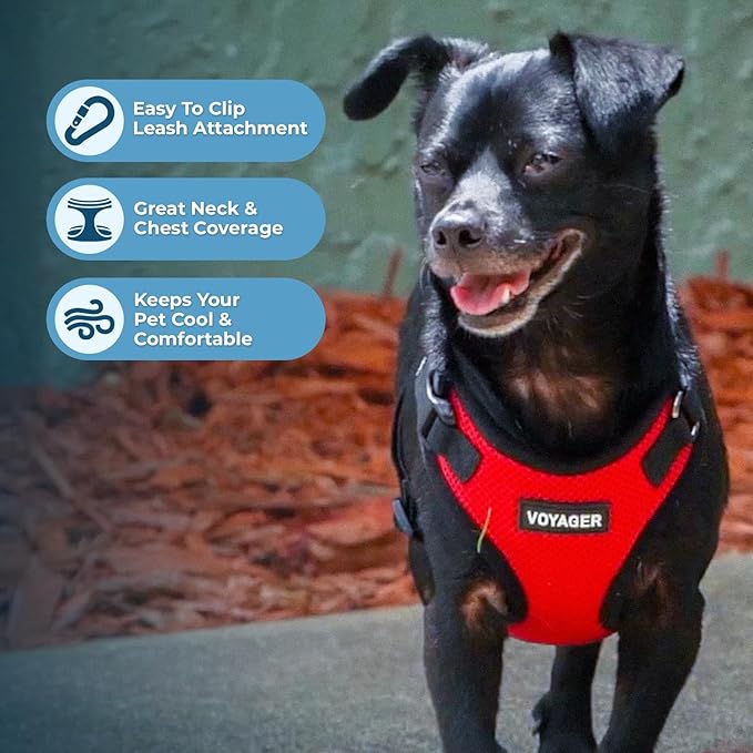 Best Pet Supplies Voyager Step-in Lock Pet Harness w Reflective Pet Leash Combo Set with Neoprene Handle 5ft - Supports Small, Medium and Large Breed Puppies/Cats - Red/Black Trim Set, M