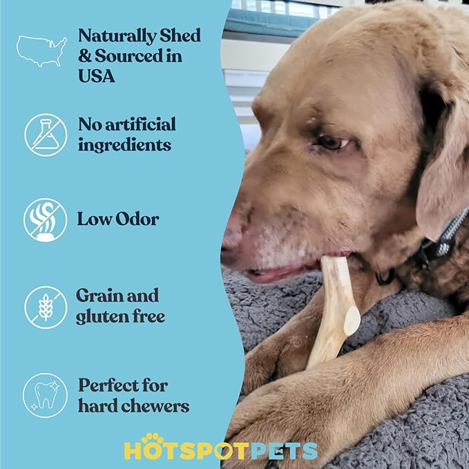 hotspot pets Deer Antlers for Dogs - 7+ Inch Large Dog Antler Chews Naturally Shed Antler Bone (4 Pack) for Large Breed Aggressive Chewers - Sourced in USA -Promotes Dental Hygiene- Rich in Calcium