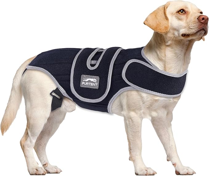 Dog Back Brace for IVDD & Joint Discomfort – Furtent Pet Spinal Support Harness for Dachshund, Surgical Recovery & Back Relief