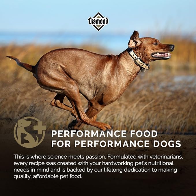 Diamond Premium All Life Stages Dry Dog Food 26/18 for Active, Athletic & Sporting Dogs 20lb Bag