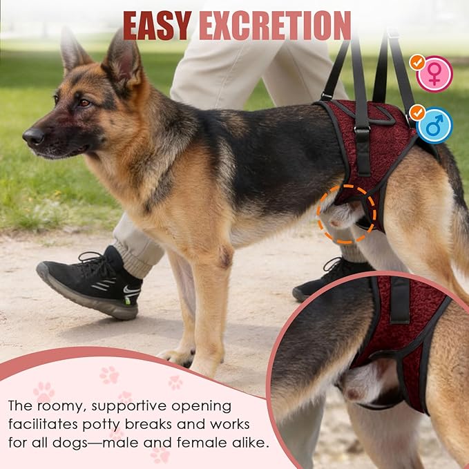 SlowTon Dog Lift Harness - Adjustable Dog Sling for Medium Large Dogs, Hind Leg Support to Help Rehabilitate, Soft Padded Dog Support Harness for Elderly, Injured, Arthritic, Disabled Dogs(R,M)