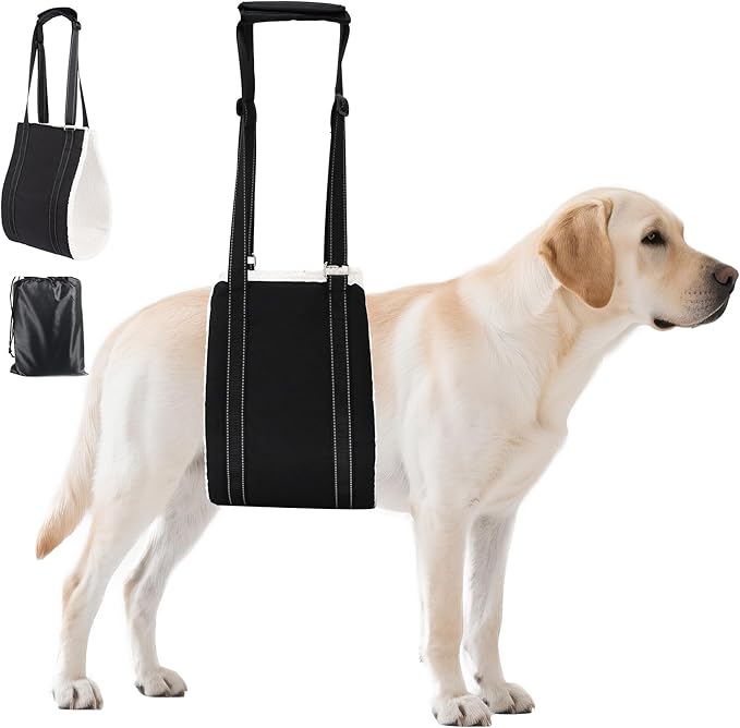 AIITLE Upgraded Dog Lift Harness for Large Dogs - Hind Leg Pet Sling for Elderly/Disabled Dogs, Orthopedic Rehab Aid with Plush Thick Padding, Helps Stairs/Car Access (Black, XL)