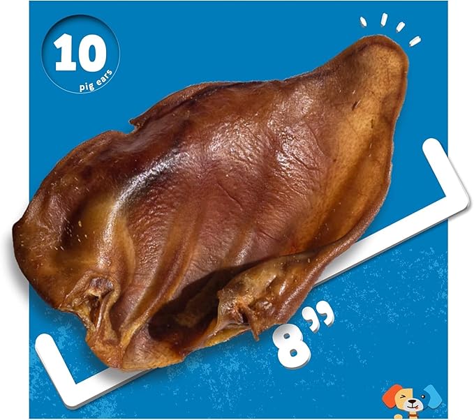 Jack&Pup Whole Pig Ears for Dogs - All Natural Single Ingredient Extra Thick Large Pigs Ears - Premium Dog Pig Ear Treats - Natural Dog Pork Chews; Excellent Rawhide Alternative (25 Pack)