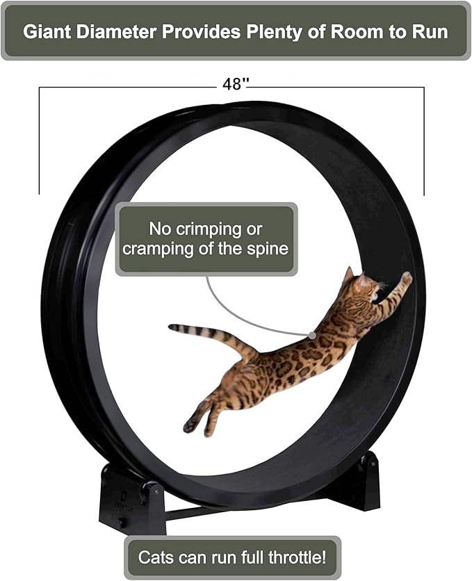 One Fast Cat - Cat Exercise Wheel - Gen. 7 - Safe 48" Diameter - Made in The USA - Black Wheel with Tropical Frogs Foam Traction Pads and Solid Inline Wheels