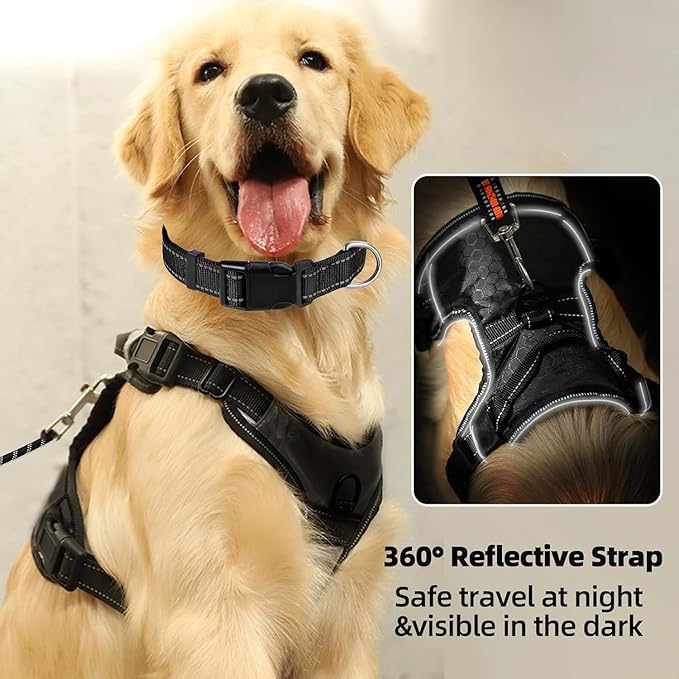 Dog Harness Set, No Pull Dog Vest Harness and 5ft Leash & Collar for Small Medium Sized Large Dog Cat,Adjustable Soft Nylon Padded Dog Vest Reflective Front Clip Vest with Easy Handle -Purple M