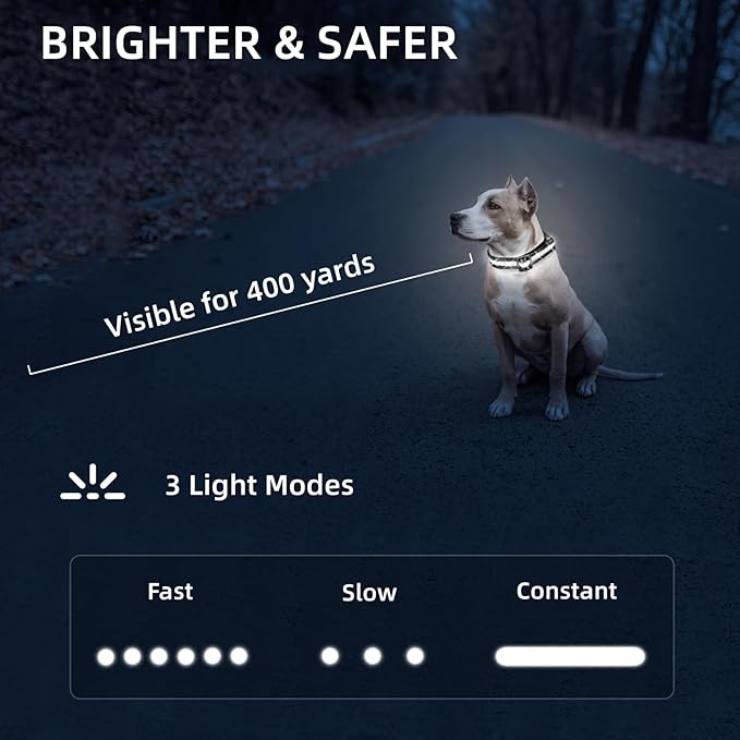 Super Bright LED Dog Collar - Fully Waterproof & Adjustable Glow Collar - USB-C Rechargeable for Night Walking, Safety - Flashing Lighted Collar for Dogs(White,S)