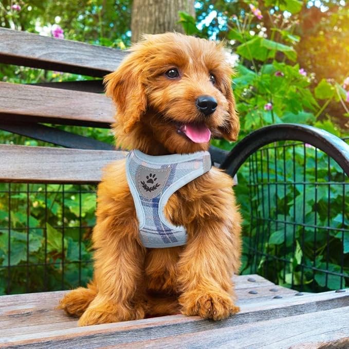 PUPTECK Adjustable Dog Harness Collar and Leash Set Step in No Pull Pet Harness for Small Medium Dogs Puppy and Cats Outdoor Walking Running, Soft Mesh Padded Reflective Vest Harnesses, Blue XXS