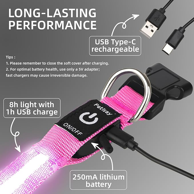 Super Bright LED Dog Collar - Fully Waterproof & Adjustable Glow Collar - USB-C Rechargeable for Night Walking, Safety - Flashing Lighted Collar for Dogs(Pink,M)