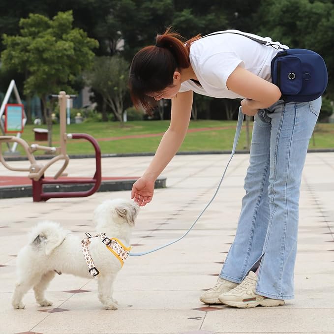 Dog Cat Harness and Leash Set, Puppia Soft Mesh Padded and Adjustable Puppy Vest Cute Dog Clothes Escape Proof Easy Walk Pet Accessories (Honeybee, M (Neck 13.4"-16.5"; Chest 17.7"-23"))
