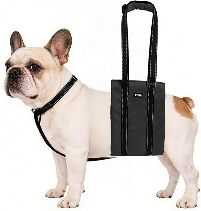 AIITLE Dog Slings for Small Dogs - Adjustable Reflective Dog Lift Harness with Anti-Slip Collar for Senior Dogs, Hind Leg Weakness, Hip Dysplasia (Black, S)
