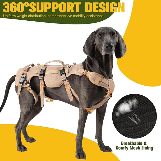 BINGPET Dog Lift Harness for Large Dogs,Full Body Support Rehabilitation Dog Sling Carrier with Handles,Reflective Multifunctional Mobility Assistance Vest for Senior Pets Joint Injuries,Arthritis,M