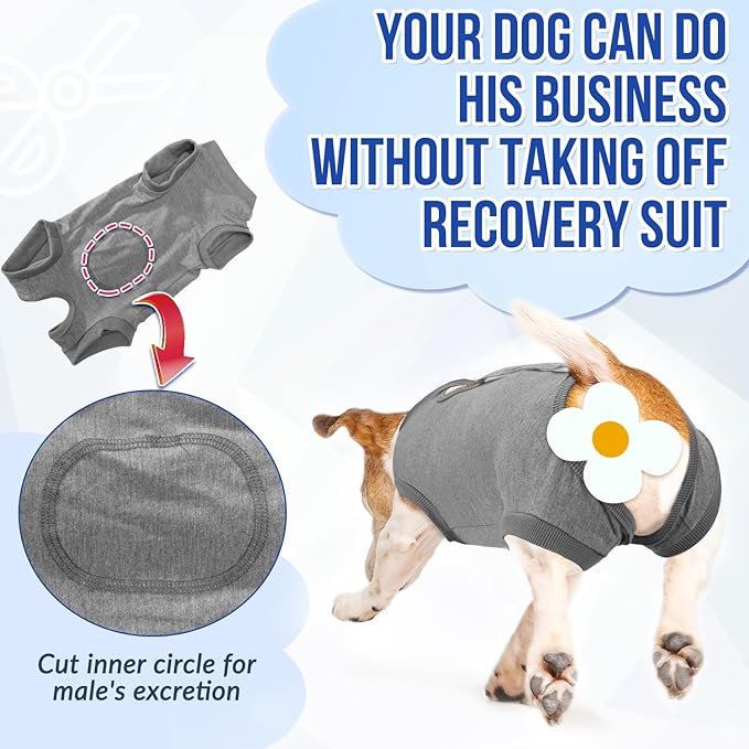 Lukovee Recovery Suit for Dogs, Onesie Surgery Recovery Suit for Female Male Dogs, Abdominal Wounds Cone E-Collar Alternative Prevent Licking Spay Recovery Suit (GY,S)