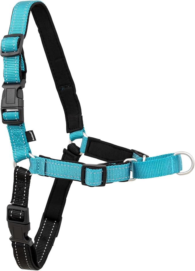 PetSafe Deluxe Easy Walk Harness - Trainer-Trusted Dog Chest Harness with Breathable Martingale Loop Design - Helps Stop Pulling with No Choking & Gagging - Large - Ocean