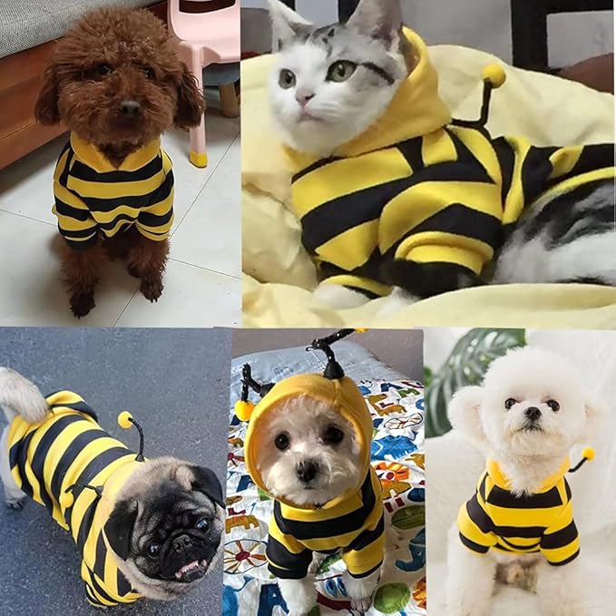 Pet Bee Halloween Costume Dog Hoodies Cat Holiday Cosplay Warm Clothes Puppy Cute Hooded Coat Christmas Outfits for Cat and Small Dogs (C, Large), YELLOW