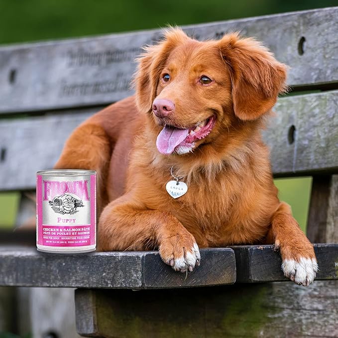 Fromm Classic Puppy Chicken & Salmon Pate Dog Food - Premium Wet Dog Food - Chicken Recipe - Case of 12 Cans
