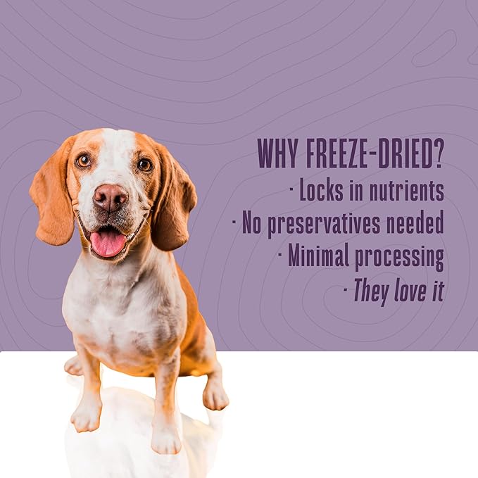 Whole Life Dog Just One Turkey Freeze Dried Dog Treats - Human Grade High Protein Food, Healthy Training Snacks, Freeze Dried Food Toppers, USA Made Natural Treats - 10 oz (Value Pack of 1)