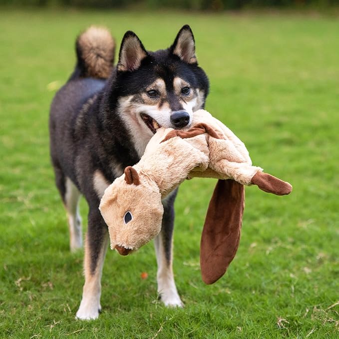 Best Pet Supplies Squeaky Dog Toys with Soft Durable Fabric for Small, Medium and Large Pets Interactive Toy for Indoor Play, Supports Active Biting and Play - Squirrel, Large