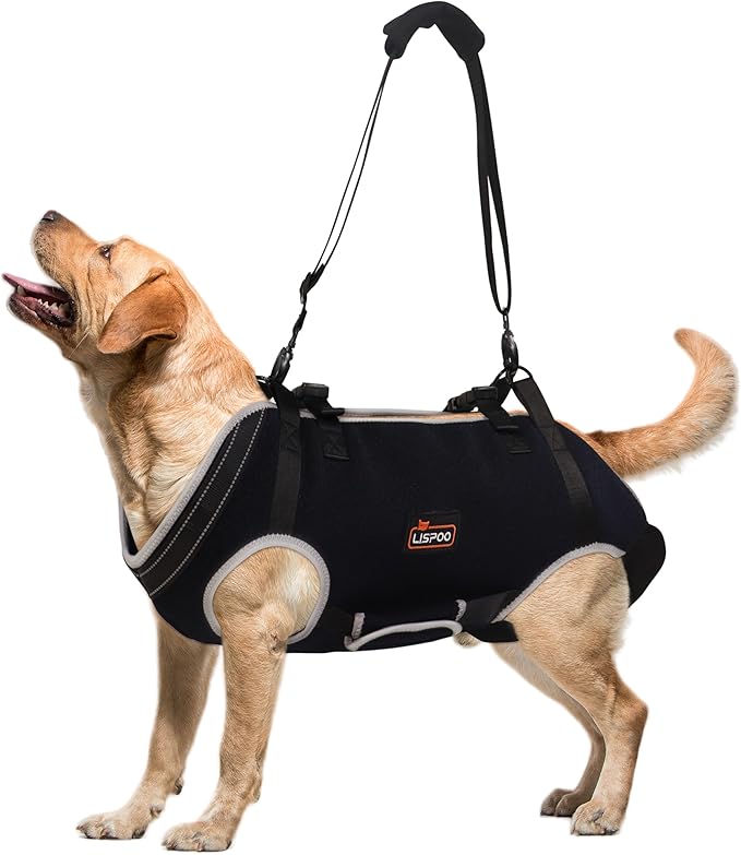 Dog Lift Harness, Full Body Dog Lift Harness, Lift Harness for Senior/Small/Medium Dogs, Disabled, Joint Injuries, Arthritis, Loss of Stability Dogs Walk