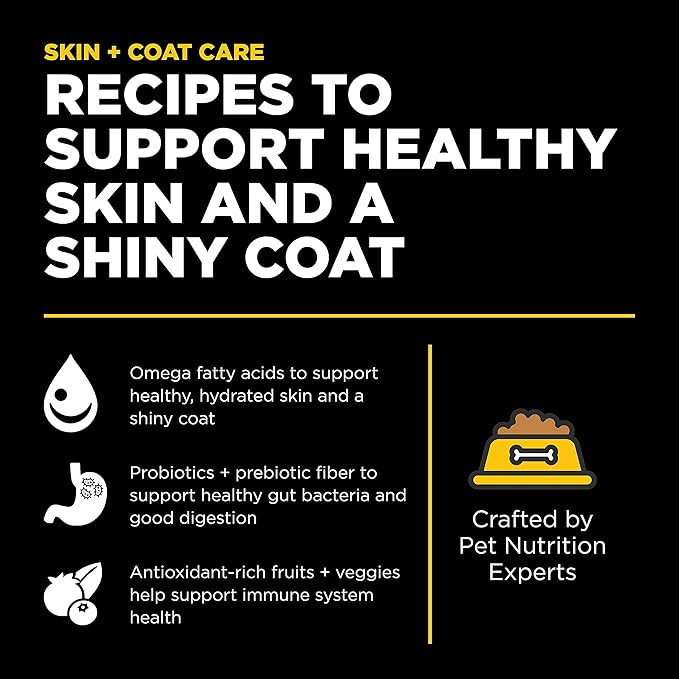 Go! Solutions Skin + Coat Care Duck Dry Dog Food with Grains, Chicken-Free, Healthy Kibble with Omega-3s & 6s for Soft, Shiny Fur, for Puppies, Adults, & Seniors, 22 lb Bag