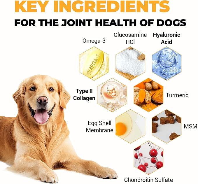 180 Chews Glucosamine Chondroitin Joint Chews for Dogs, Chicken Flavor 13 in 1 with Glucosamine, Chondroitin, MSM, Omega-3 Support Hip & Joint Support - Joint Pain Relief Flavored Fit All Breed