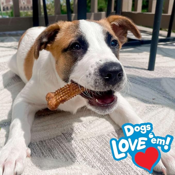 Nylabone 491556 Nubz Chicken Flavor, Large/2 Ct, 1Piece