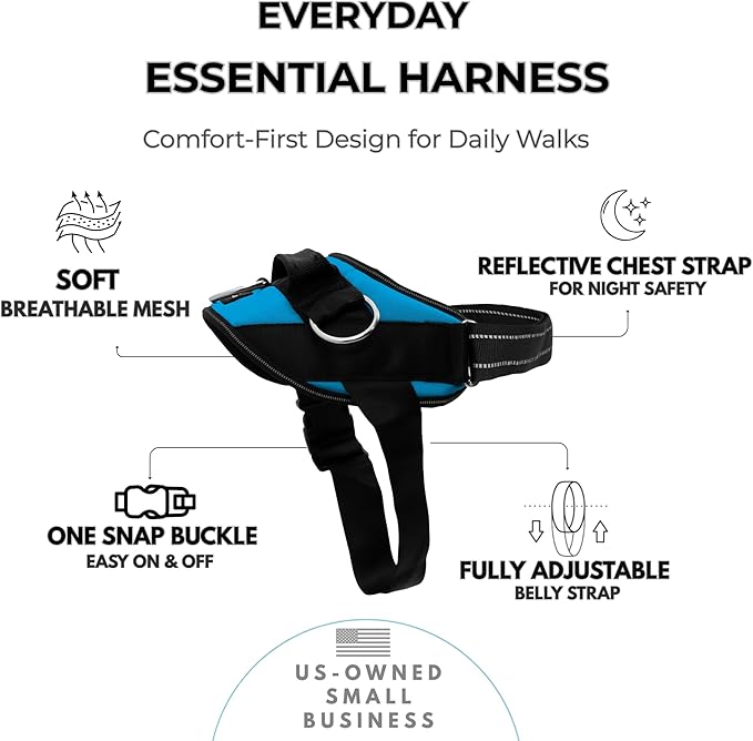 ShawnCo Essential Dog Harness, No-Pull Pet Vest with 3 Leash Clips, No Choke, Reflective, Adjustable and Padded, for Easy Walking and Training for Small, Medium and Large Dogs (Oceanic Blue, XS)