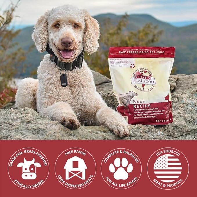 Steve's Real Food Freeze-Dried Raw Nuggets 2-Pack - Beef Recipe - Raw Pet Food for Dogs and Cats - 20 oz in Each Bag