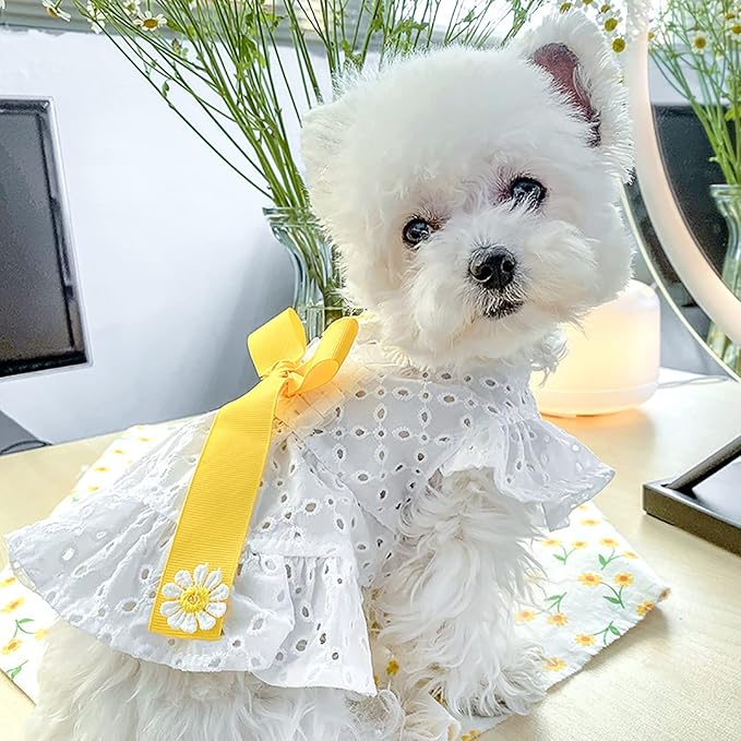 Dog Cute Princess Dress Summer Pet Clothes for Small Dogs Elegant Bowknot Puppy Sundress Holiday Breathable Lightweight Outfits Female Cat Dog Yorkie Chihuahua Dress Apparel