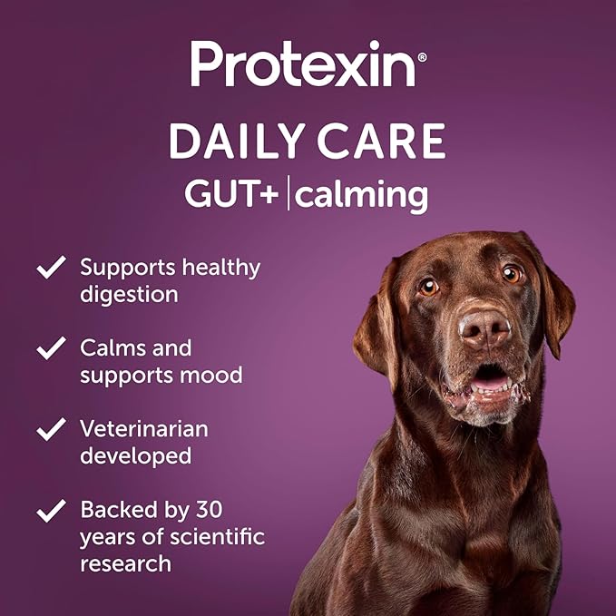 Protexin Daily Care Gut+ Calming | 60 Dog Chews, Trout and Kale Flavor Dog Supplement | Probiotics for Dogs, Dog Postbiotics