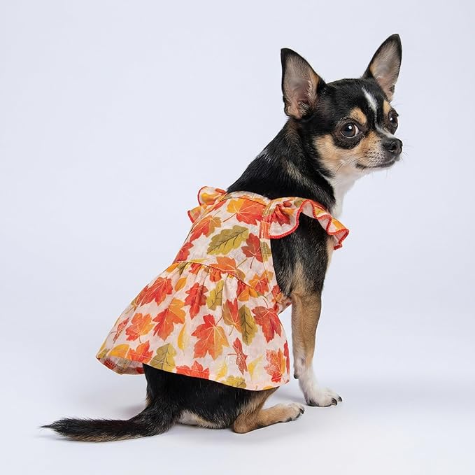 Fitwarm Maple Dog Dress, Ruffled Doggy Thanksgiving Dress, Fall Dog Clothes for Small Dogs Girl, Pet Outfit, Red, Orange, Large