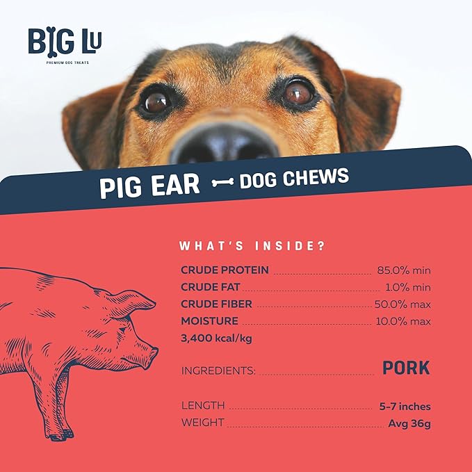 Big Lu – Whole Pig Ears for Dogs, 12 Count, All-Natural Single-Ingredient Pork Treats for Medium and Large Dogs, Easily Digestible, Long-Lasting, Supports Joint Health with Glucosamine and Chondroitin
