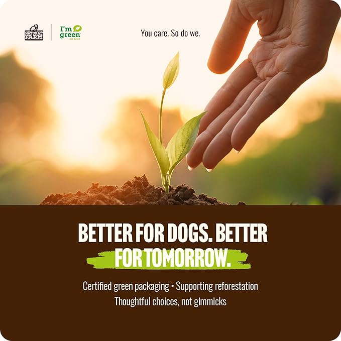 Natural Farm Odor Free Braided Collagen Chews for Dogs (12 Inch, 12 Pack), Collagen Sticks, Natural Dog Chews, Long Lasting, for Small, Medium and Large Dogs, Odor-Free, Rawhide Alternative